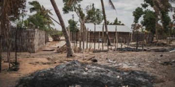 Cabo Delgado: Counting the dead