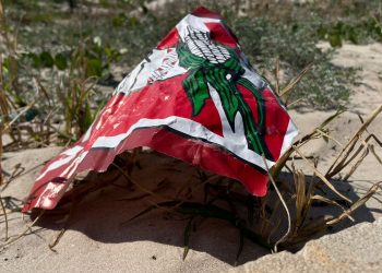 Frelimo: Legitimacy matters